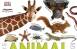The Animal Book A Visual Encyclopedia of Life on Earth 生命百科參考 百度網(wǎng)盤(pán)下載