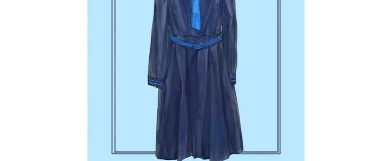 香港女子中学制服図鑑2 人体服饰参考 百度网盘下载