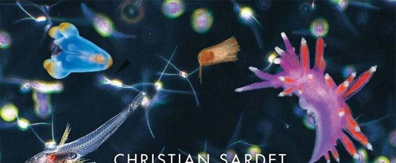 Plankton: Wonders of the Drifting World海洋微生物圖鑒 百度網(wǎng)盤下載