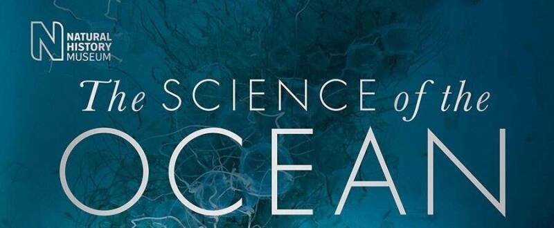 The Science of the Ocean: The Secrets of the Sea Revealed 海洋生物素材 百度云下載