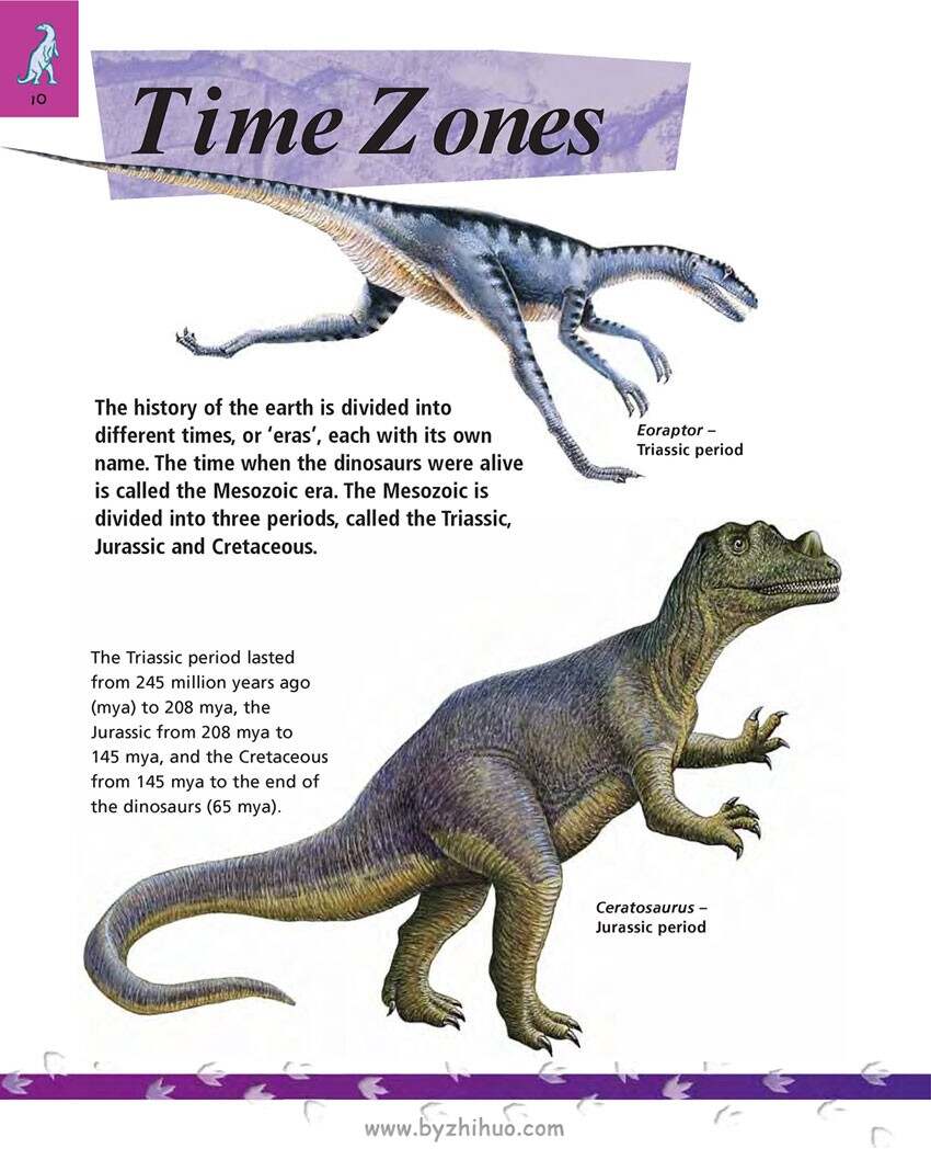 《 Dinosaurs：The Fact Files》恐龙百科 绘画素材