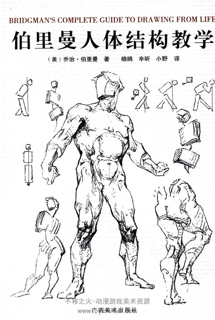 《伯里曼人体结构教学》绘画教程 高清中文版