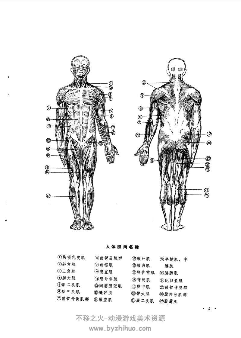 《经典人体结构绘画技法》人体绘画教程