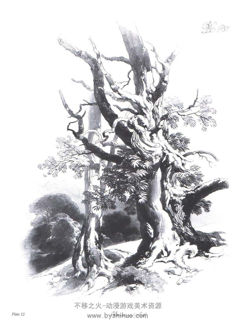 《On Drawing Trees and Nature》（描绘树木与自然）