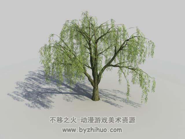 柳树3D模型