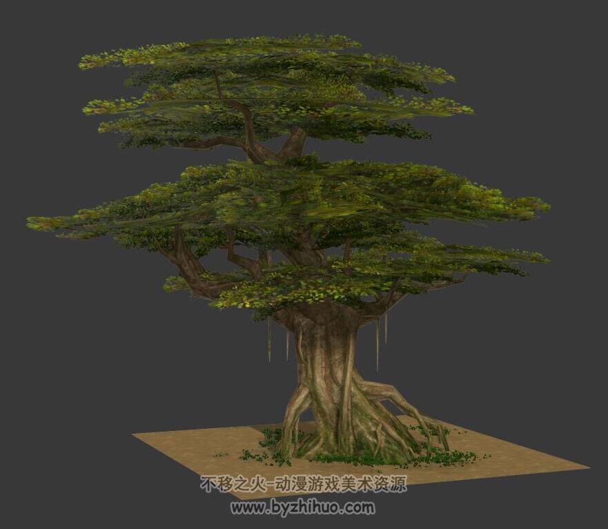 参天大树3D模型