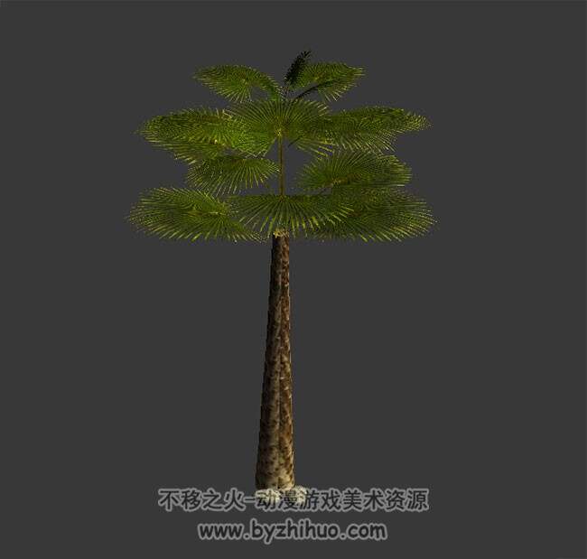 棕榈树 游戏植物模型