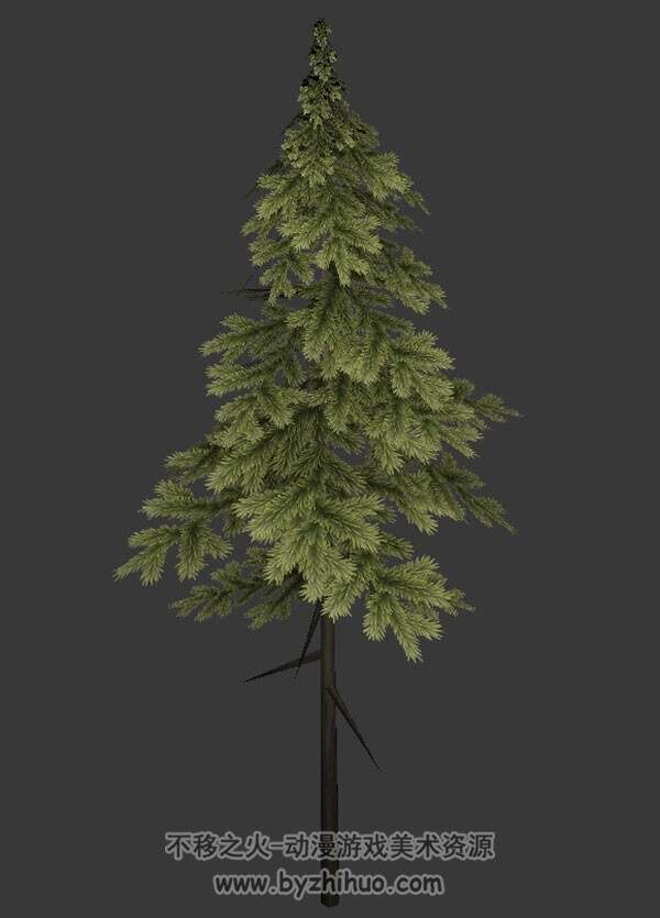 松树 游戏3D模型