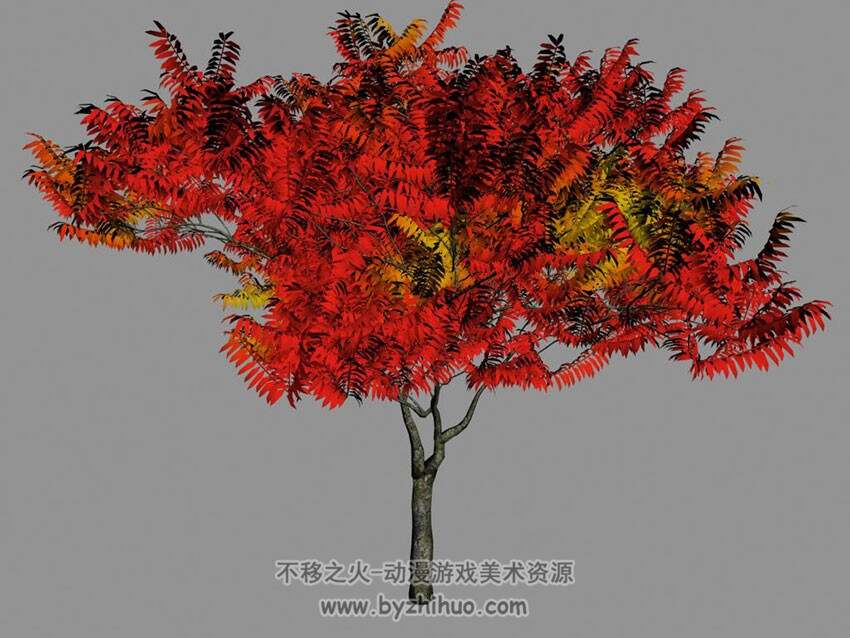 红叶树 3D模型