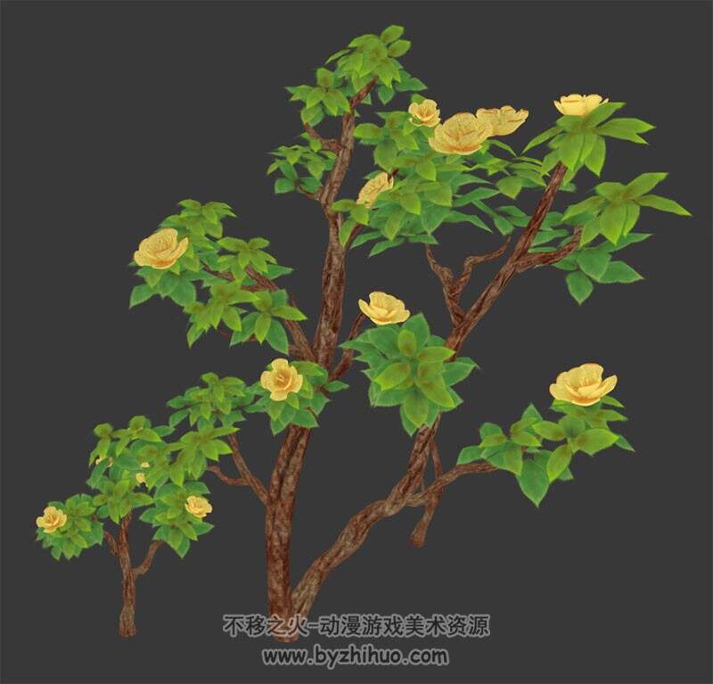 开花的小树 3D模型
