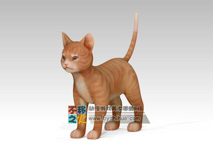 可爱小猫咪 cat 3D模型