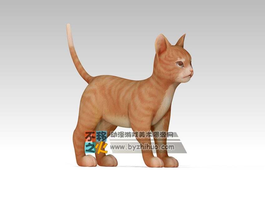 可爱小猫咪 cat 3D模型