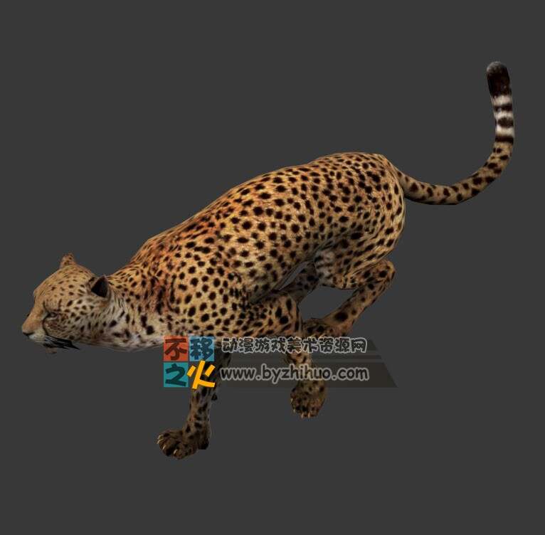 猎豹 3D模型 带跑动作