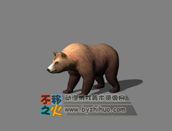 棕熊3D模型 带走路动作