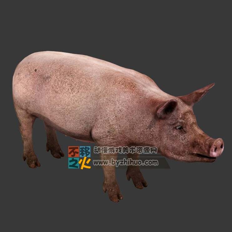 pig 猪 写实游戏动物模型