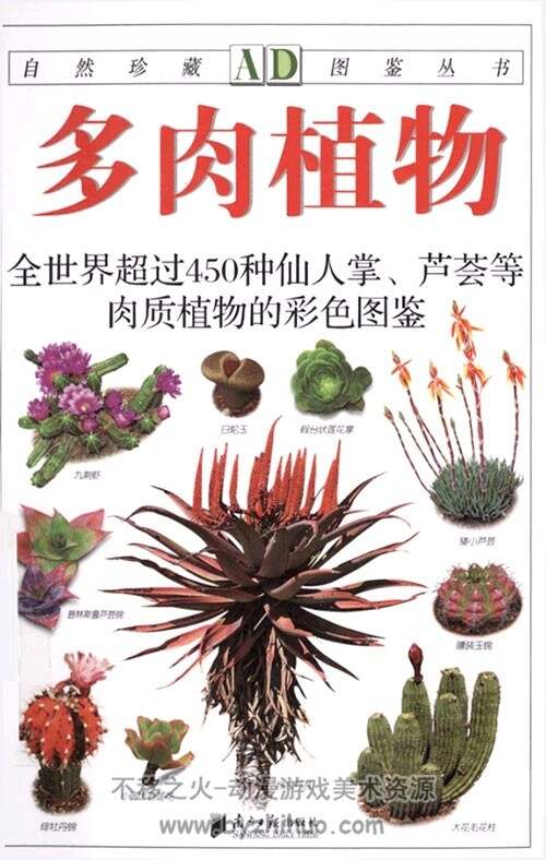 多肉植物：超过450种仙人掌、芦荟等肉质植物的彩色图鉴 PDF
