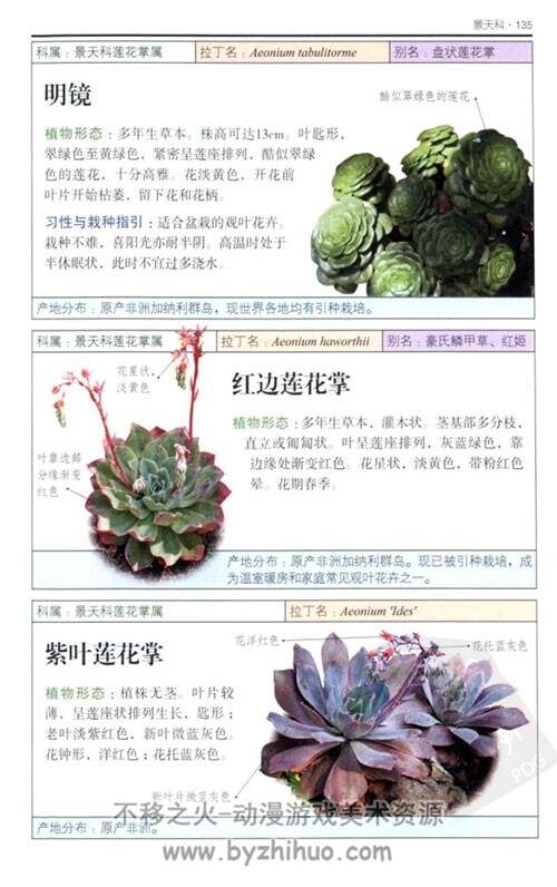 多肉植物：超过450种仙人掌、芦荟等肉质植物的彩色图鉴 PDF