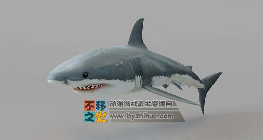 Shark Model 鲨鱼3D模型
