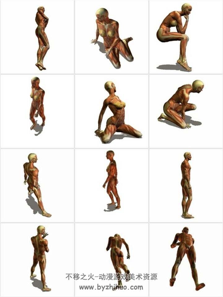 1439张 肌肉人体动态图 人体动作形态姿势各角度参考素材