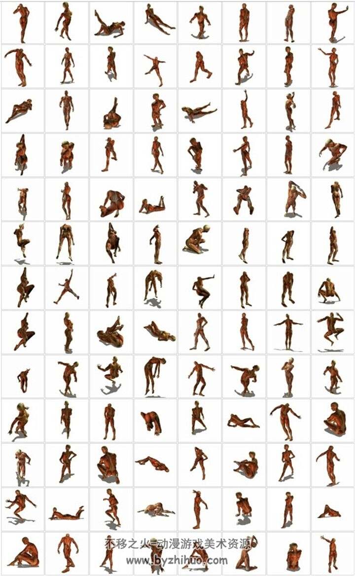 1439张 肌肉人体动态图 人体动作形态姿势各角度参考素材