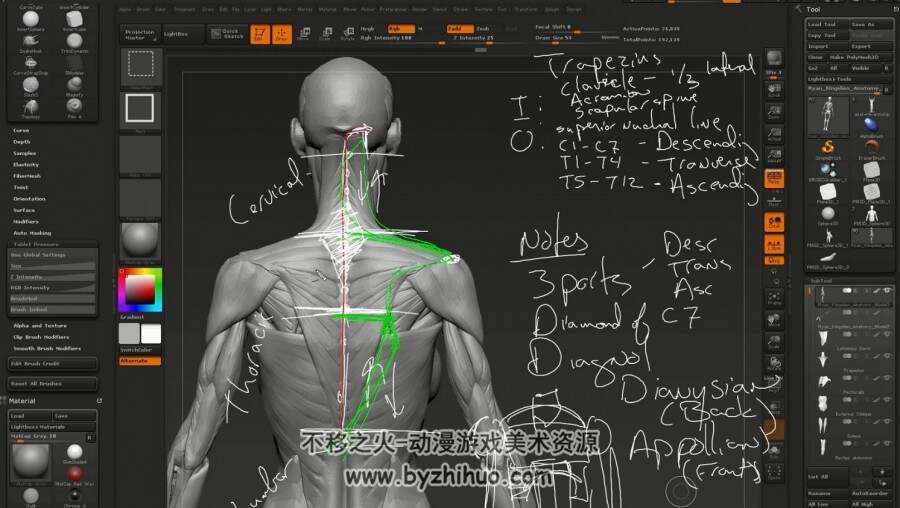 Zbrush角色雕刻 艺术人体解剖 全面系统训练视频教程
