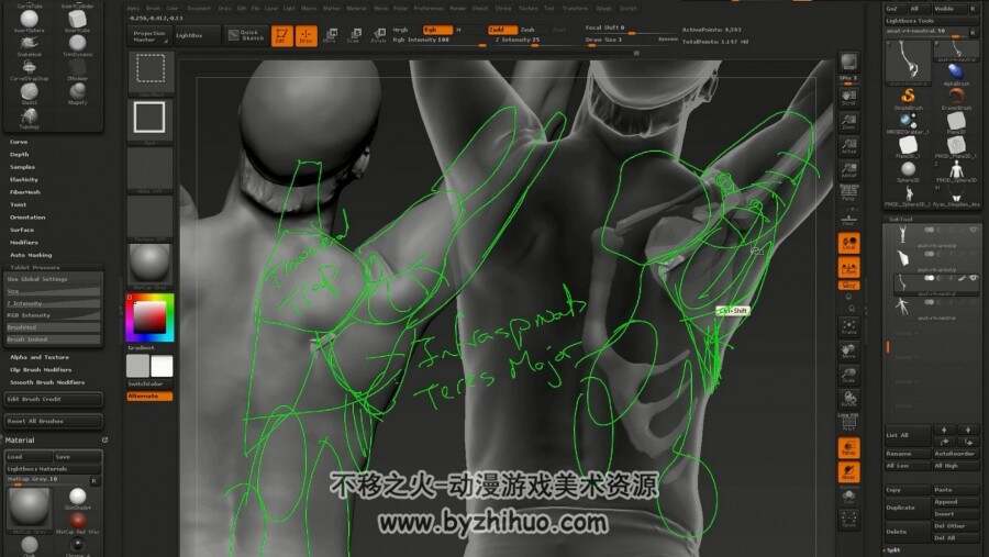Zbrush角色雕刻 艺术人体解剖 全面系统训练视频教程