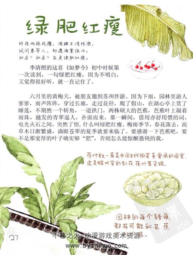 《苏三的花花草草、瓶瓶罐罐》食物/植物水彩画 PDF下载