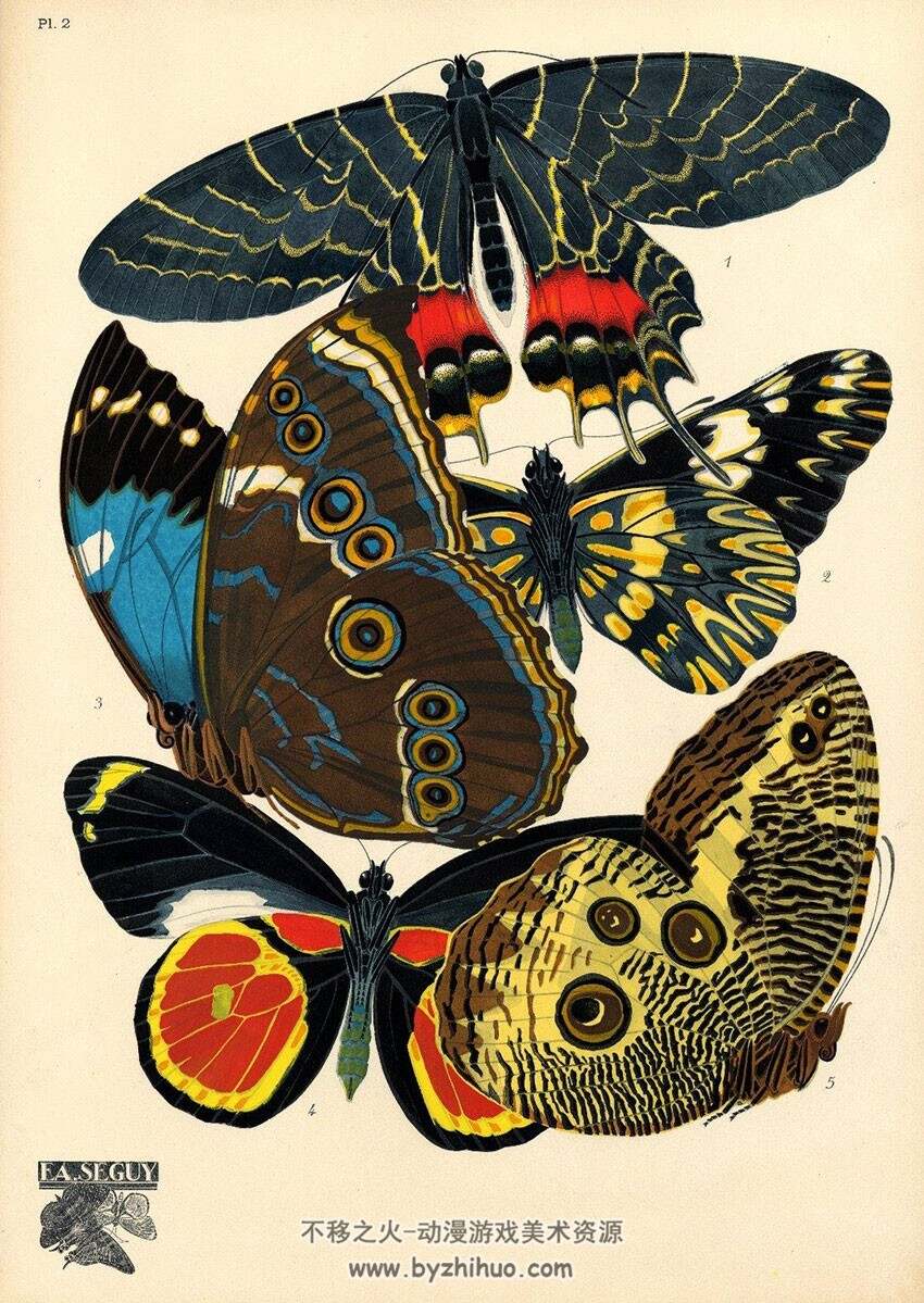 《Papillions》Seguy.E.A 蝴蝶艺术绘画 22P