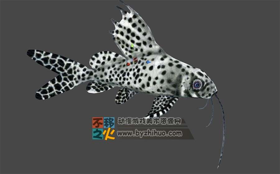 22种海洋鱼类 fbx模型 带动作