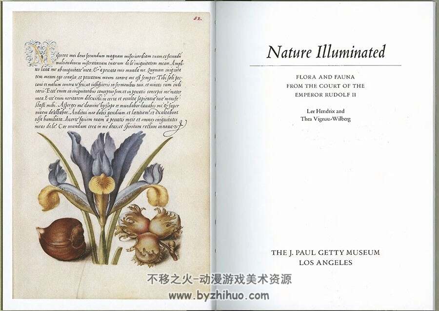 植物英文绘画参考资料 Nature Illuminated