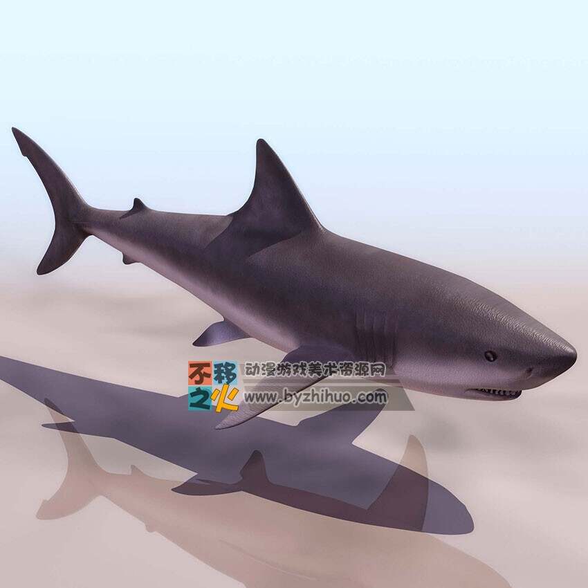 Shark 鲨鱼 3DS模型