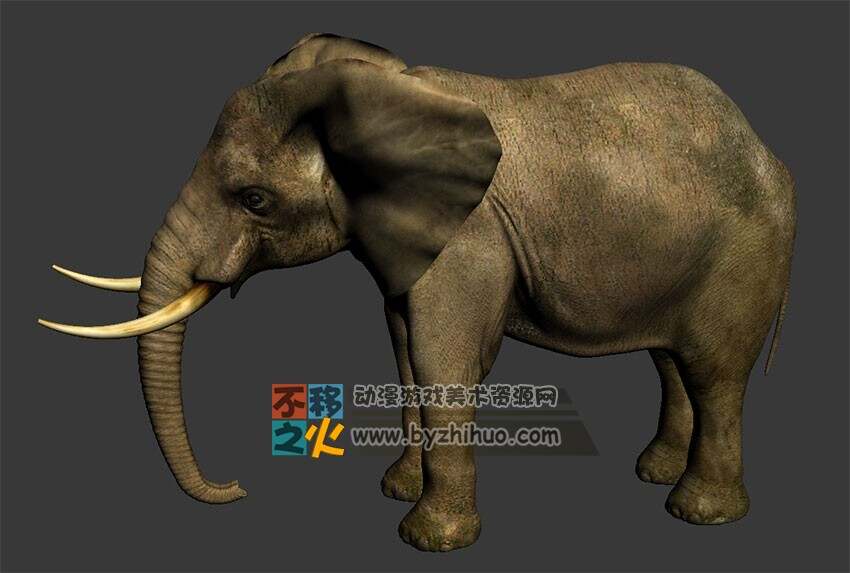Elephant 大象 Max模型 高精度