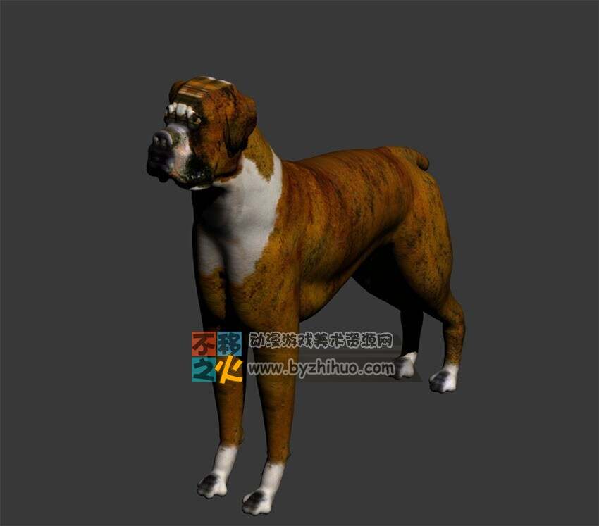 Dog 狗Max模型 高模