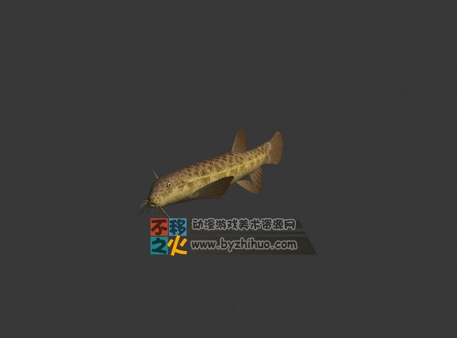 好多鱼来袭！ fish 3DS鱼模型