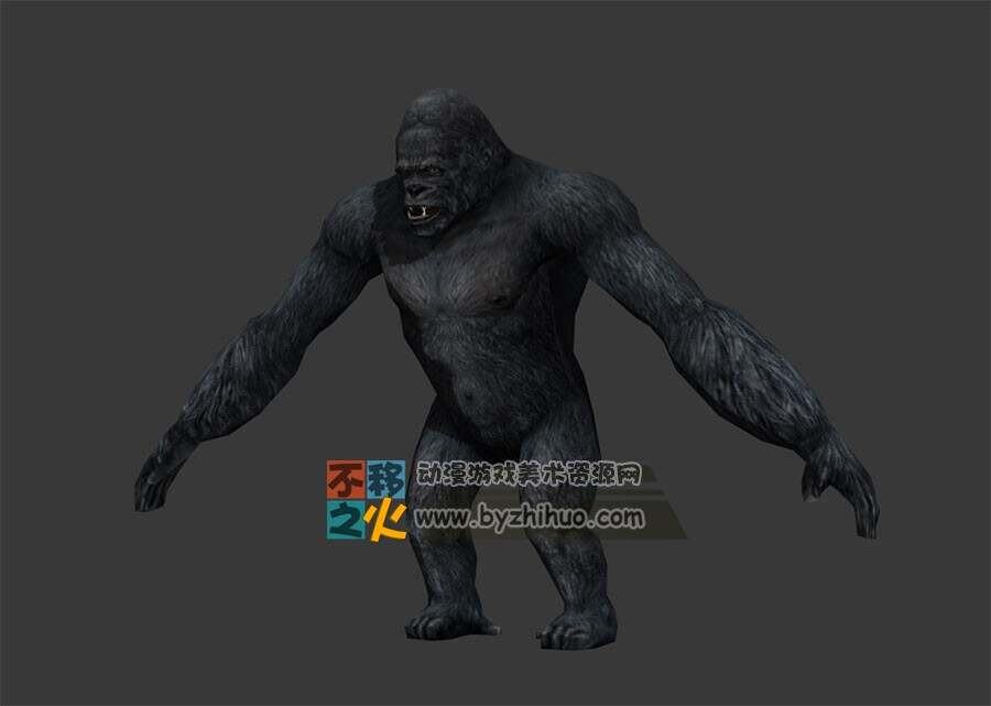 Gorilla 大猩猩 Max模型