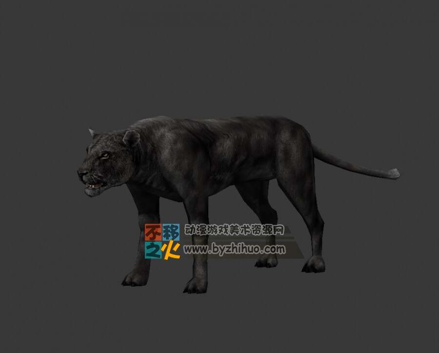 leopard 豹 Max模型
