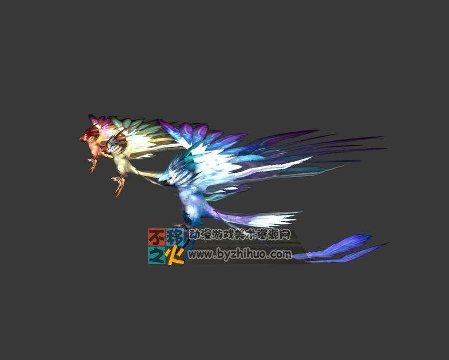 Bird  三只不同颜色的鸟