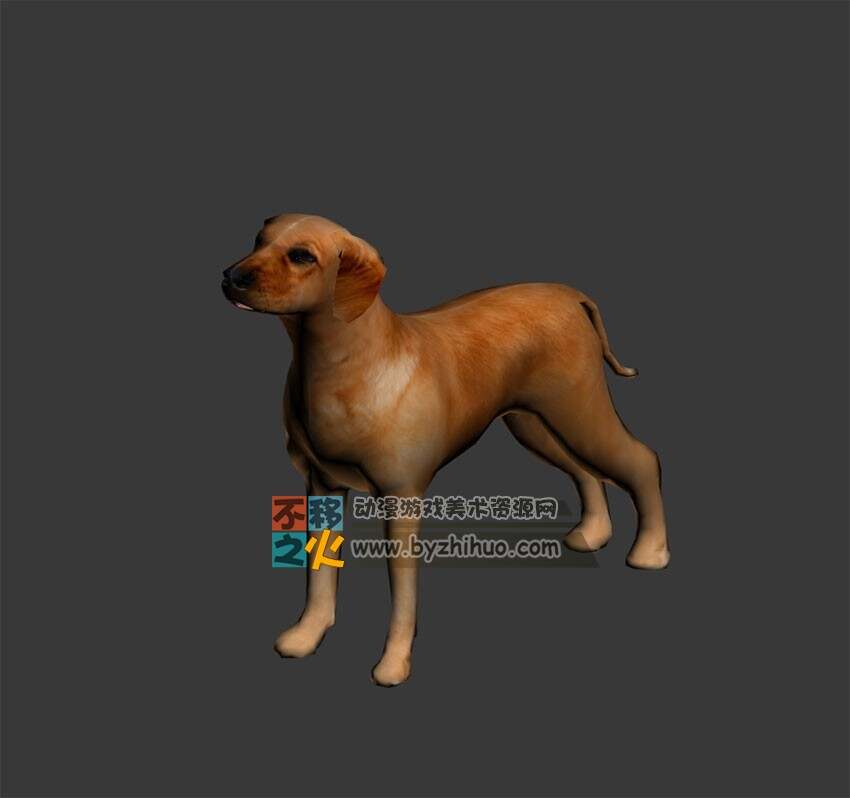 Dog 狗3D模型 Max OBJ