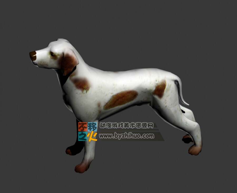 Dog 狗Max模型