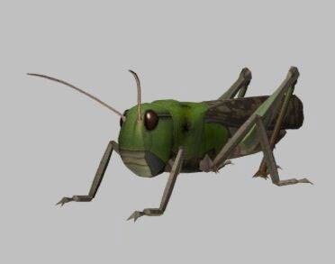 Grasshopper 蚂蚱3DS模型
