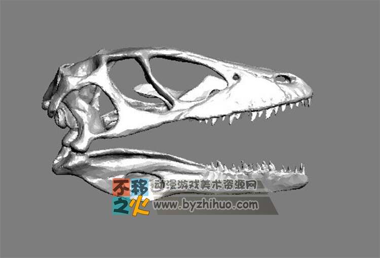 Tyrannosaurus Rex 霸王龙和霸王龙头骨3DS模型