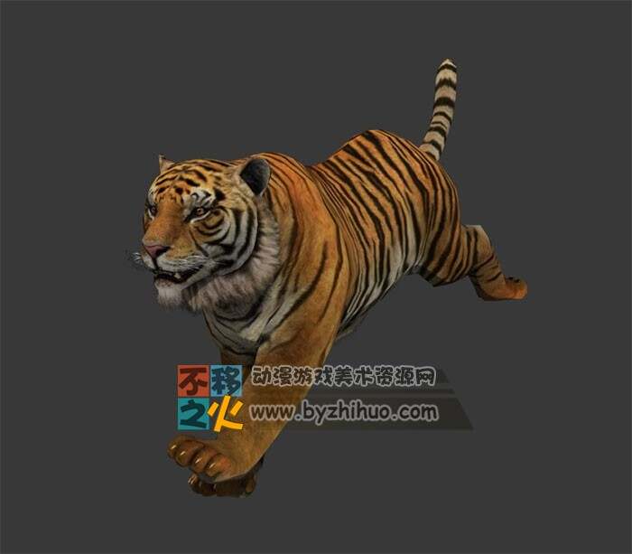 Tiger 老虎Max模型 含骨骼 贴图 全套动作