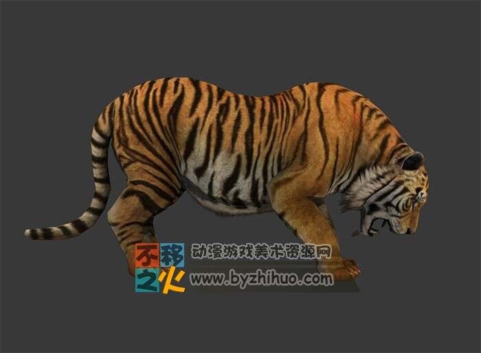 Tiger 老虎Max模型 含骨骼 贴图 全套动作