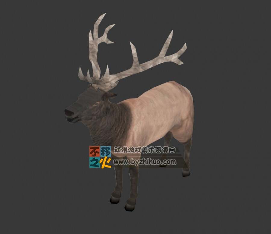 Elk 麋鹿Max模型