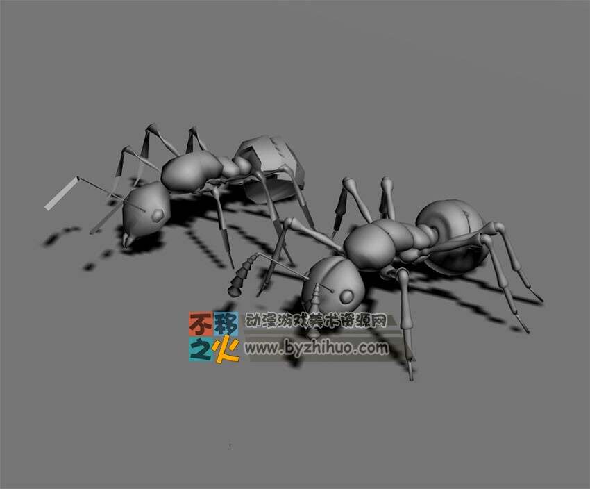 Ant 两只蚂蚁Max模型