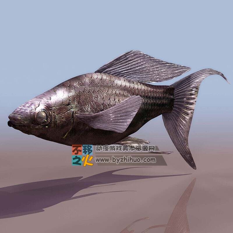 Fish 海鱼3DS模型