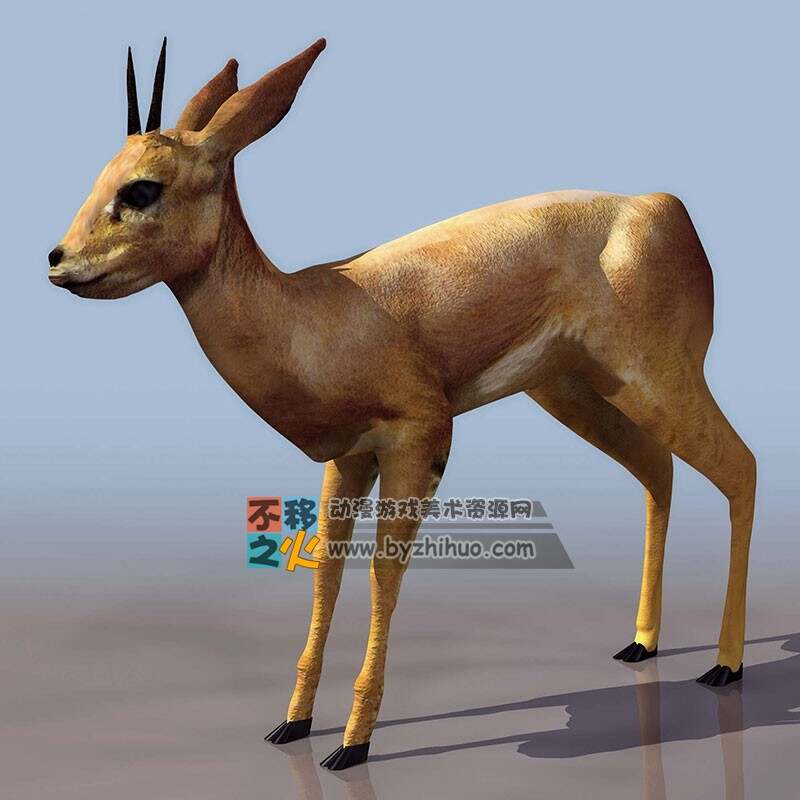 Fawn 小鹿3DS模型