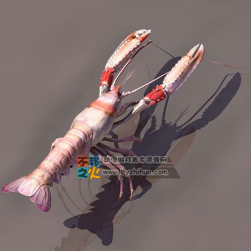 lobster 龙虾 3DS模型