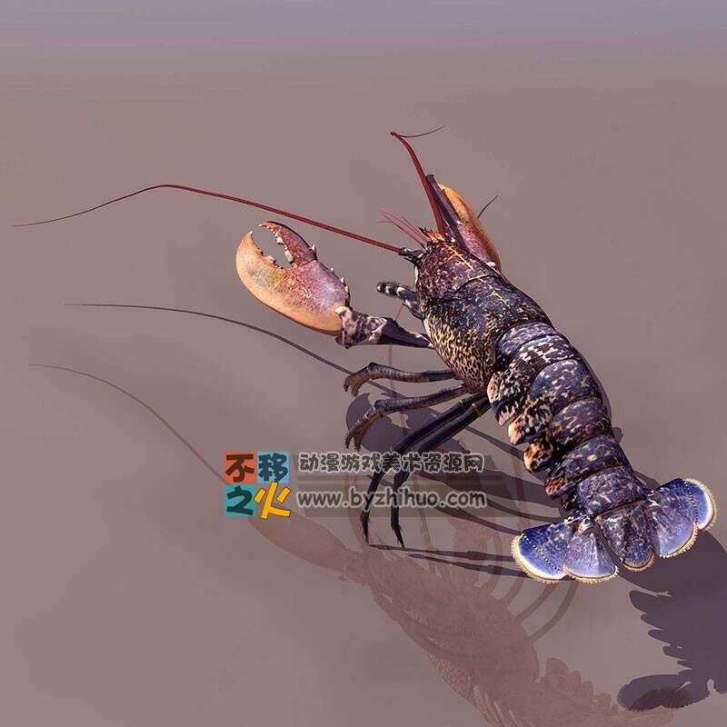 lobster 龙虾2号 3DS模型