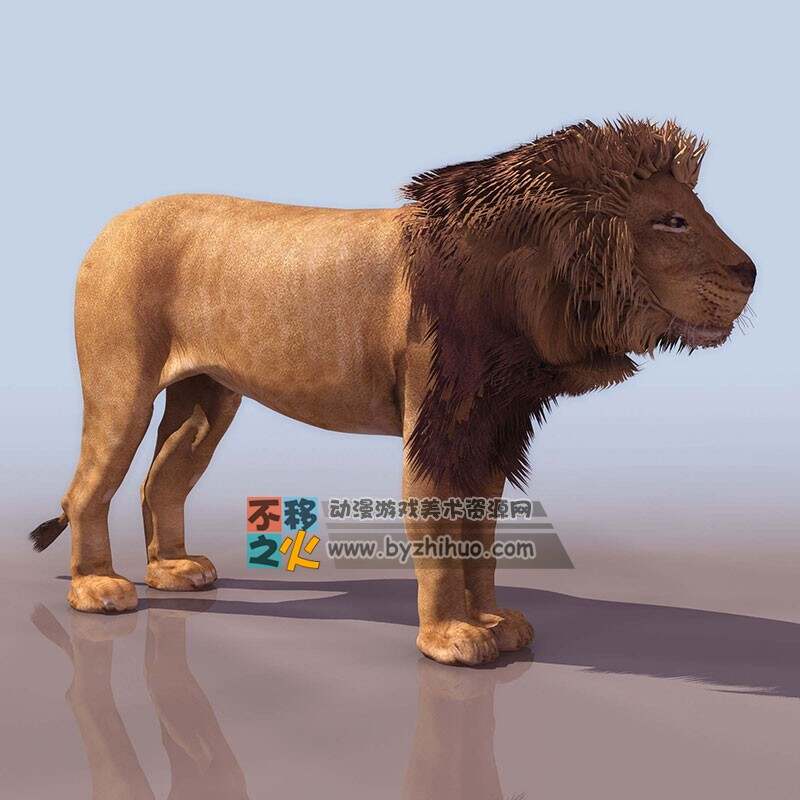 Lion 巨像的狮子3DS模型